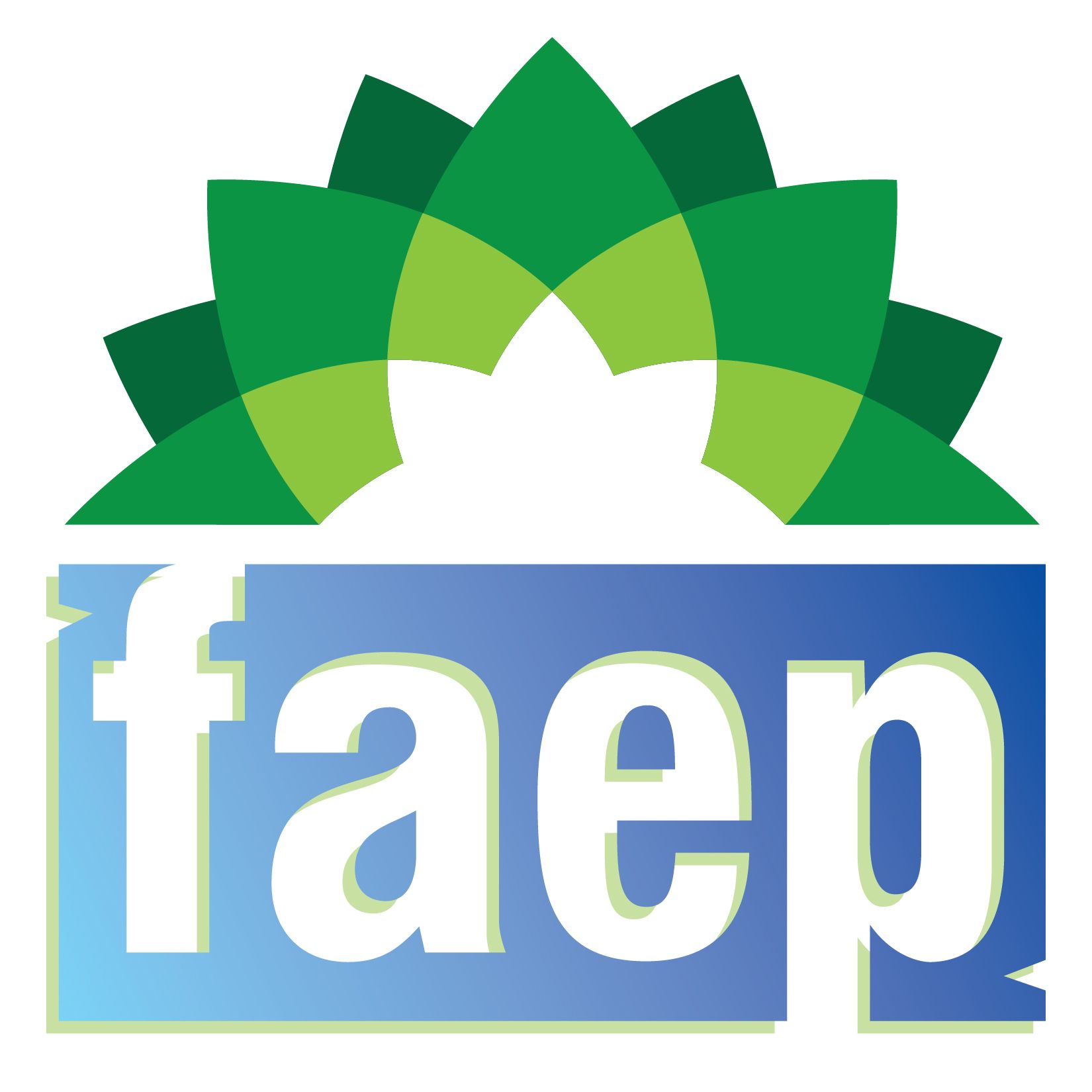 Program Development Assistance Fund (PDAF)